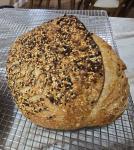 Everything  Bagel Sourdough
