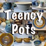 Teencypots