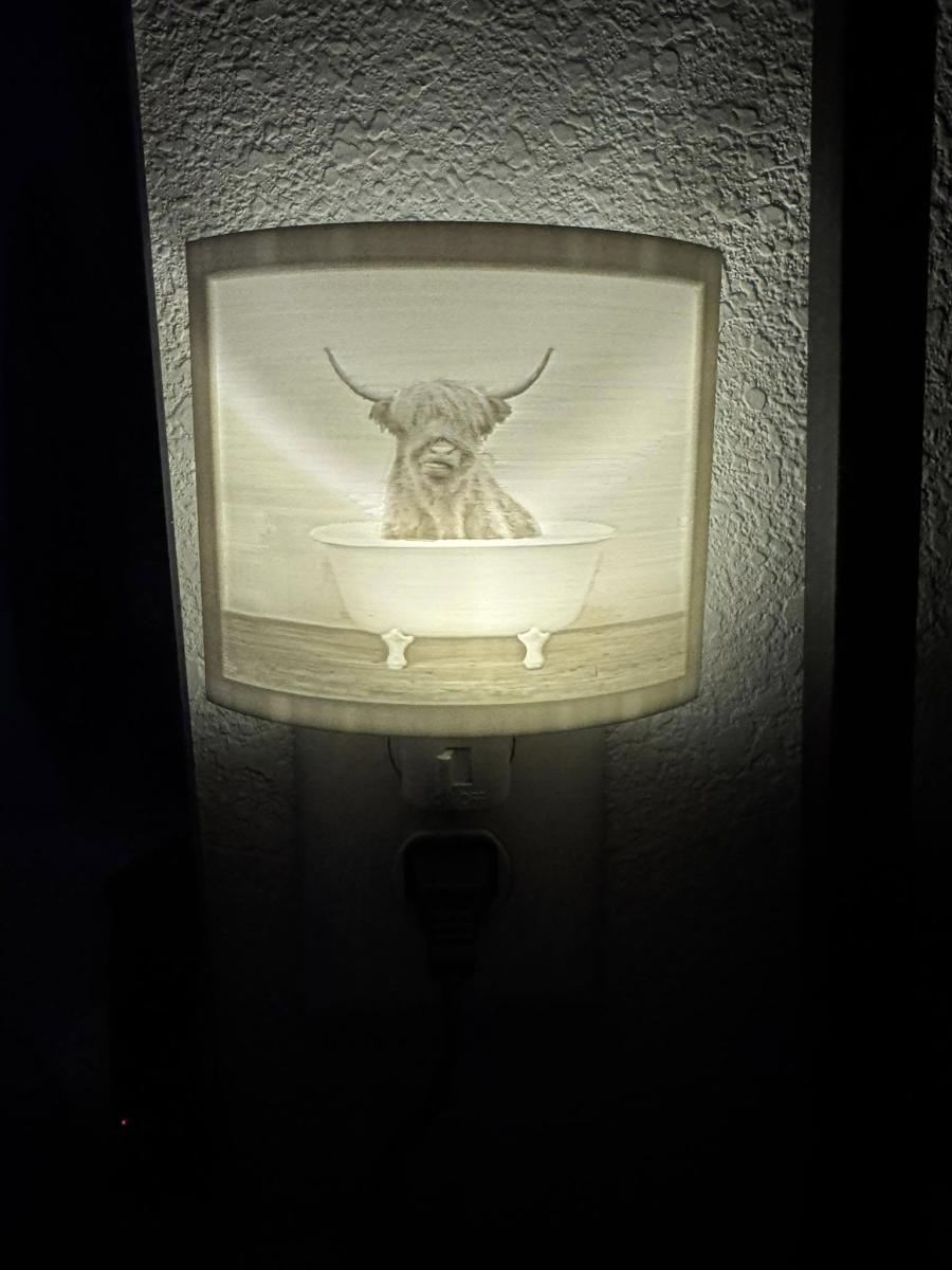 Night lights picture