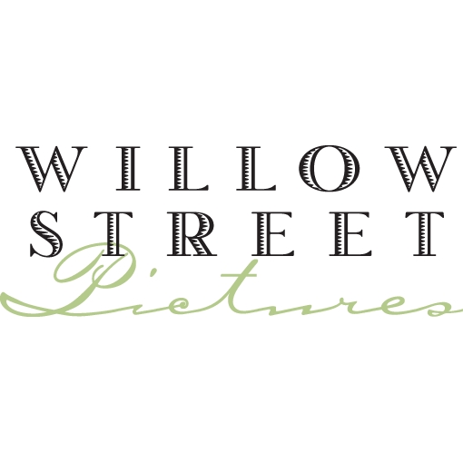 Willow Street Pictures