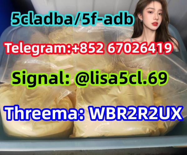 5CL-ADB-A powder 5-cl-adb-a Research Chemical Powders 5cladba Hot