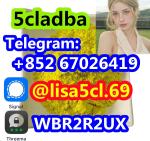 5CL-ADB-A powder 5-cl-adb-a Research Chemical Powders 5cladba