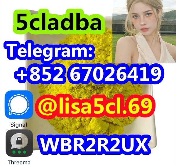 5CL-ADB-A powder 5-cl-adb-a Research Chemical Powders 5cladba
