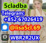 5cl raw materials 5cl-adb-a 5cladb 5cladba in stock