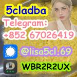 5cladba raw material 5CL-ADB-A precursor raw 5cladba 5f adb 4fadb