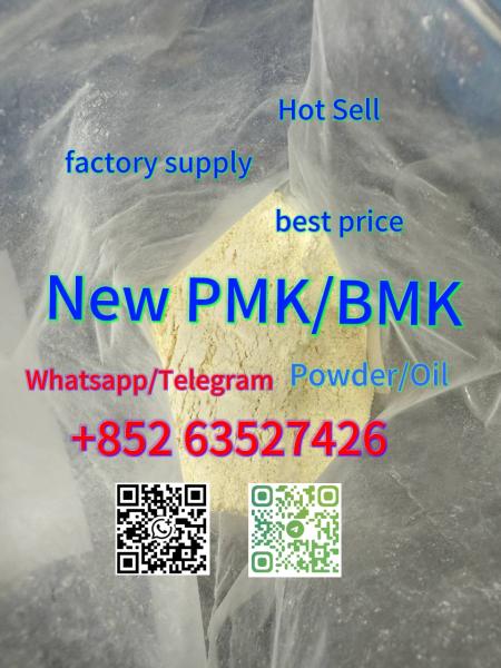 pmk factory pmk powder cas 28578-16-7 new pmk powder