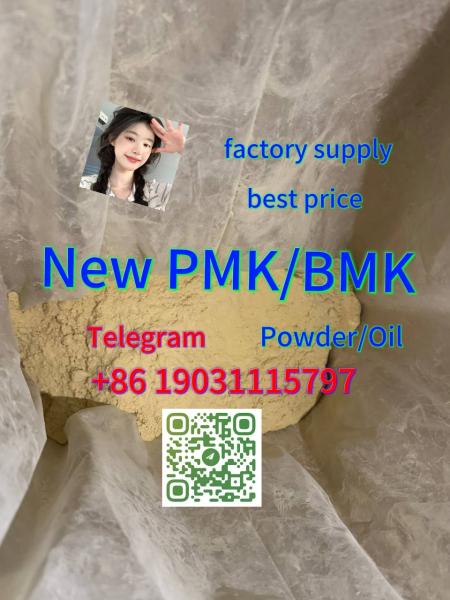 Cas 2503-44-8 3,4-dihydroxyphenylacetone New Pmk Powder at Best Price
