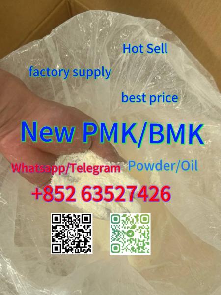 BMK/PMK Oil and Powder | China | Manufacturer