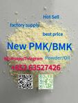 bmk PMK powder/oil Australia Germany Netherlands