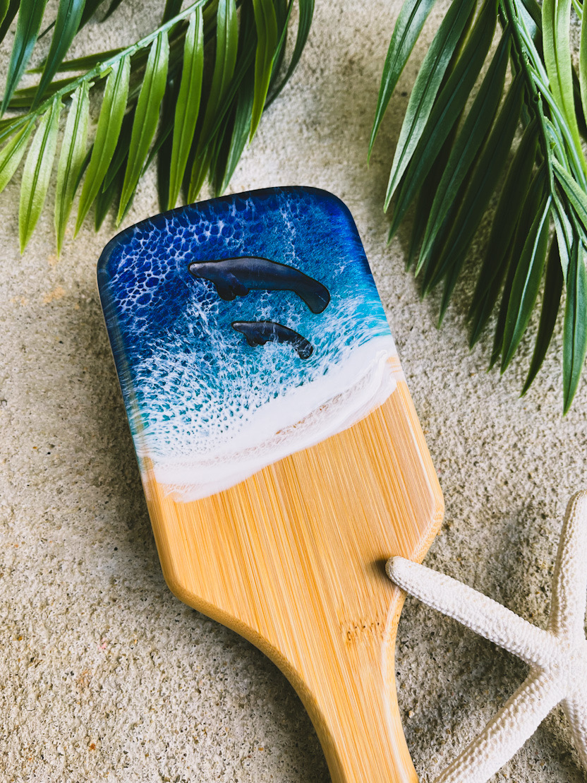 Ocean Resin Hair Brushes picture