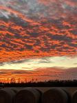 Mike and Dotty's Stewardship Farm LLC