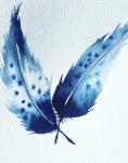Two Blue Feathers