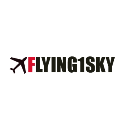 Flying1sky