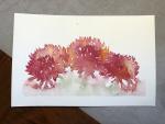 Crimson Mums Original Watercolor