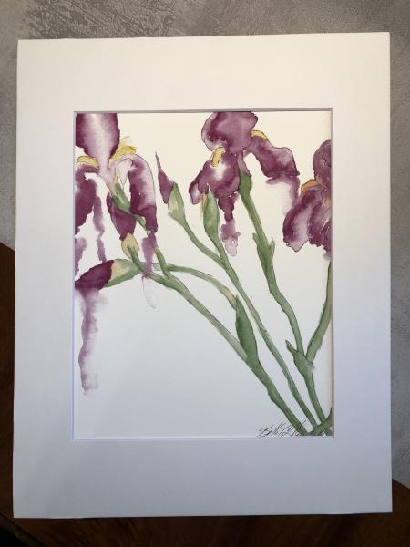 Irises (set) picture