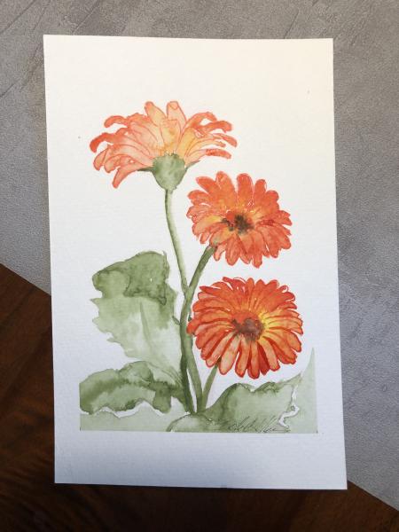 Gerber Daisies Original Watercolor