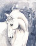 White Horse