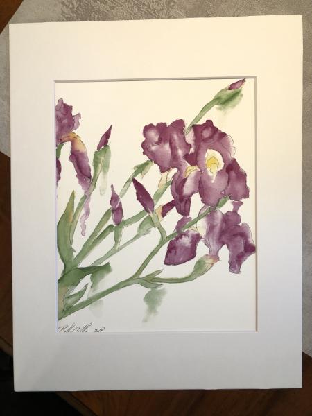 Irises (set) picture