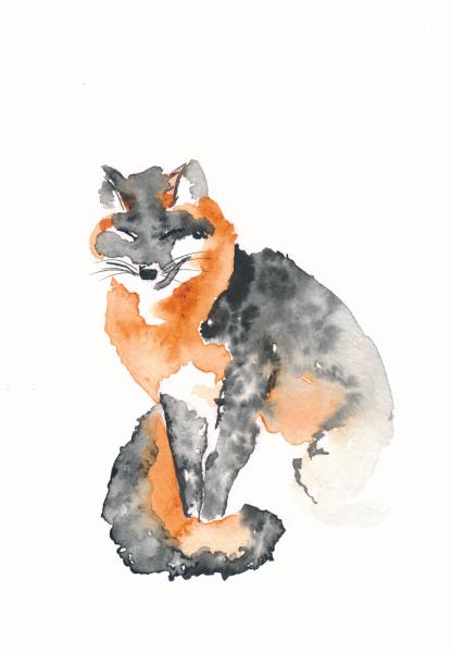 Fox picture