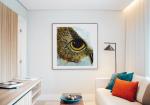 Owl Eye - Choice of Sizes