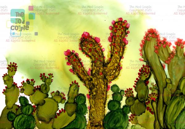 Cactus Landscape - Choice of Sizes picture