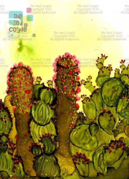 Cactus Portrait - Choice of Sizes picture