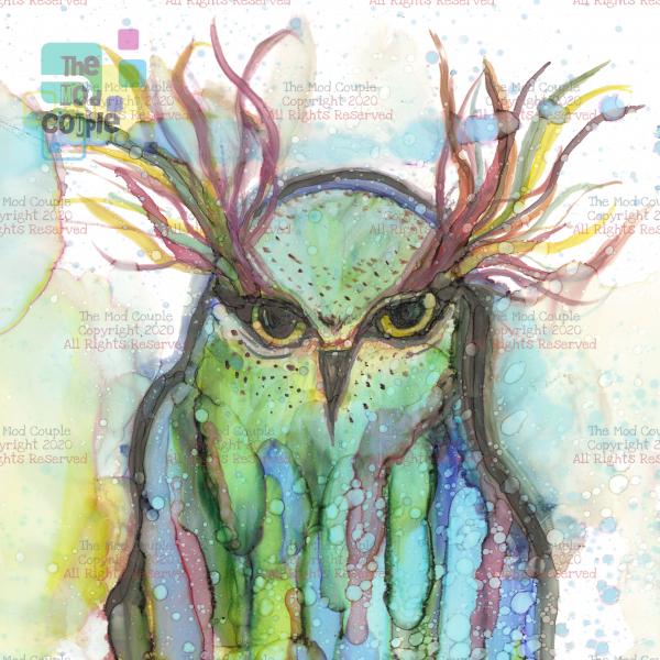 Owl In Abstract - Choice of Sizes picture