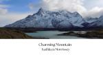 Charming Mountain, LLC