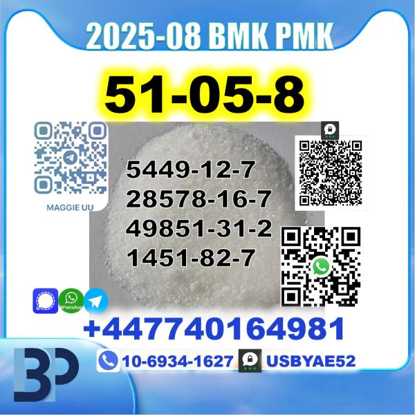 Procaine HCl 51-05-8 BMK PMK source factory safe delivery picture