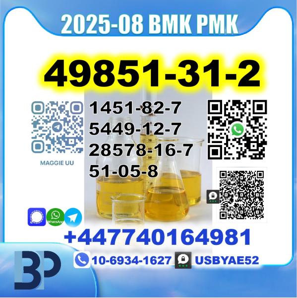49851-31-2,2-Bromovalerophenone BMK PMK Source Factory Safe Delivery picture
