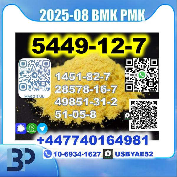 5449-12-7 BMK sodium salt PMK Source Factory picture