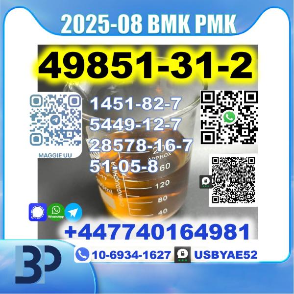 2-Bromo-1-Phenyl-Pentan-1-One 49851-31-2 bmk pmk source factory