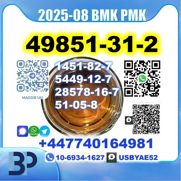 49851-31-2,2-Bromovalerophenone BMK PMK Source Factory Safe Delivery picture