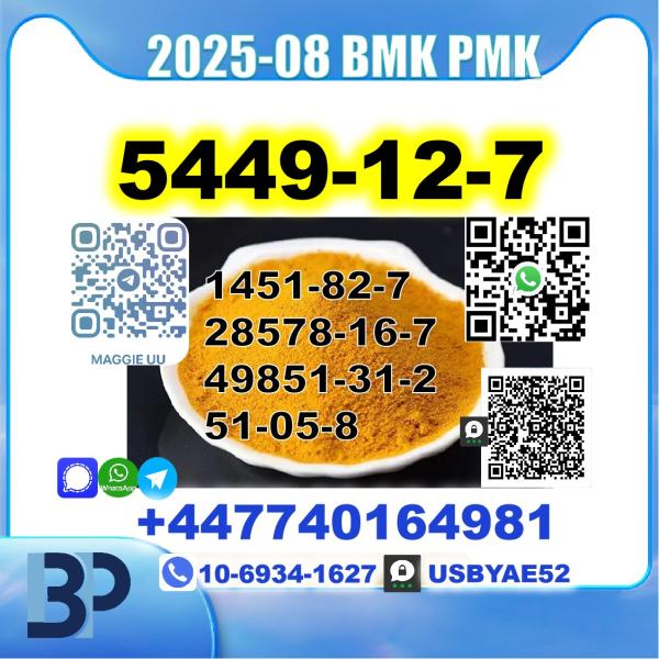 5449-12-7 BMK sodium salt PMK Source Factory picture