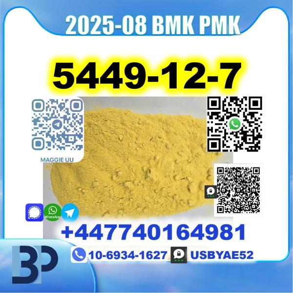 5449-12-7 BMK sodium salt PMK Source Factory picture
