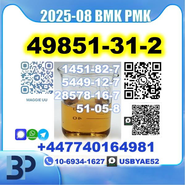 2-Bromo-1-Phenyl-Pentan-1-One 49851-31-2 bmk pmk Source Factory picture