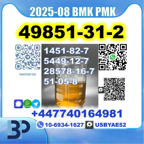 2-Bromo-1-Phenyl-Pentan-1-One 49851-31-2 bmk pmk Source Factory picture