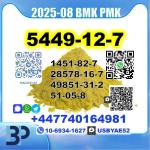 5449-12-7 BMK sodium salt PMK Source Factory