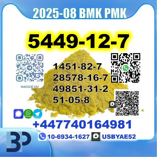 5449-12-7 BMK sodium salt PMK Source Factory