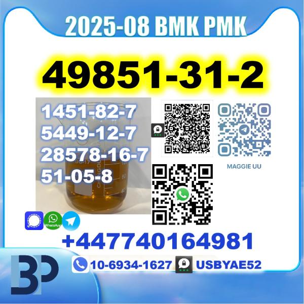 2-Bromo-1-Phenyl-Pentan-1-One 49851-31-2 bmk pmk Source Factory picture