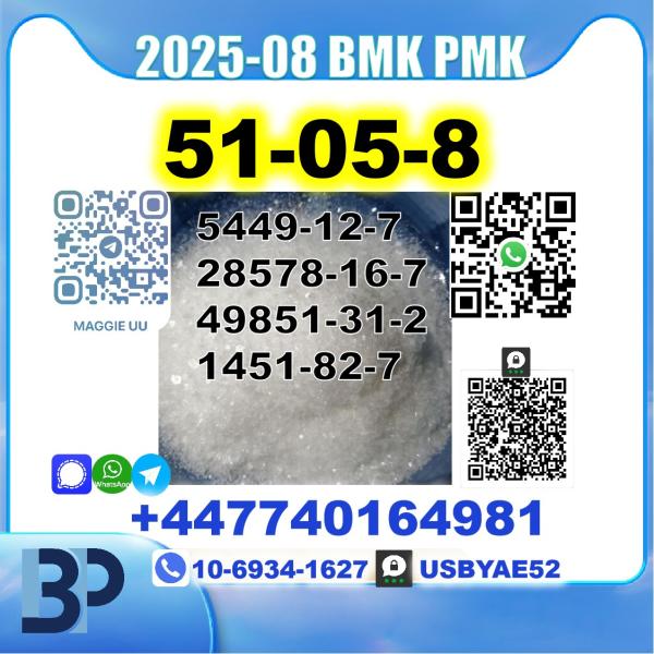 Procaine HCl 51-05-8 BMK PMK source factory safe delivery picture