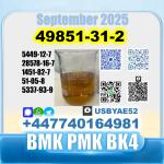 49851-31-2 bvf bmk pmk bk4 2b4m premium factory