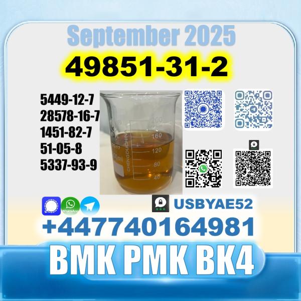 49851-31-2 bvf bmk pmk bk4 2b4m premium factory