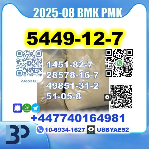 5449-12-7 BMK sodium salt PMK Source Factory picture