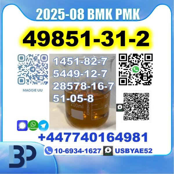 2-Bromo-1-Phenyl-Pentan-1-One 49851-31-2 bmk pmk Source Factory picture