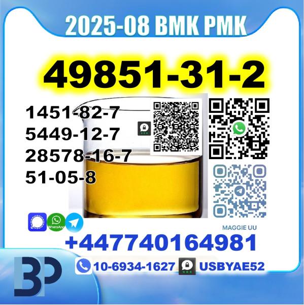 2-Bromo-1-Phenyl-Pentan-1-One 49851-31-2 bmk pmk Source Factory picture
