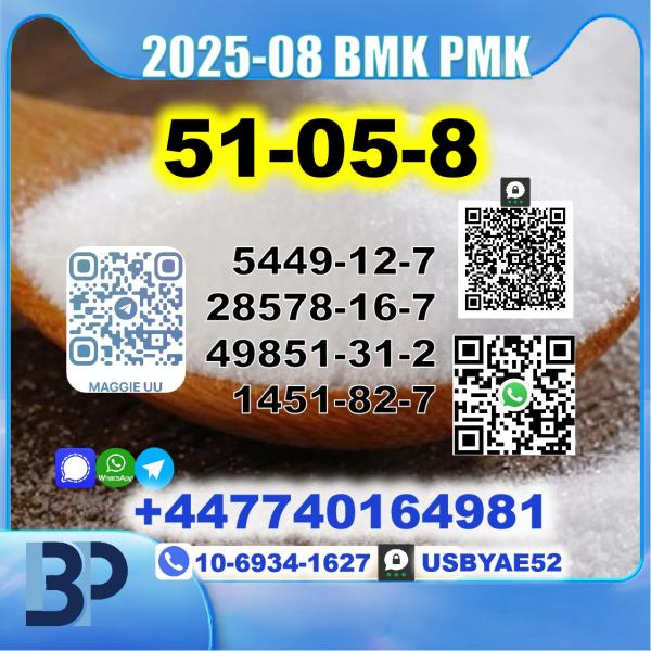 51-05-8 Procaine HCl bmk pmk Source Factory picture