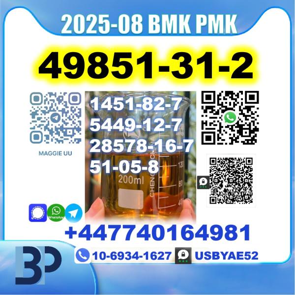 2-Bromo-1-Phenyl-Pentan-1-One 49851-31-2 bmk pmk Source Factory