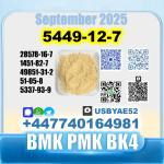BMK glycidic acid 5449-12-7 PMK SourceFactory