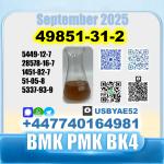 2-Bromo-1-Phenyl-Pentan-1-One 49851-31-2 BK4 2b4m PMK SourceFactory